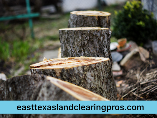 Land Clearing Near Me Longview, Texas, USA