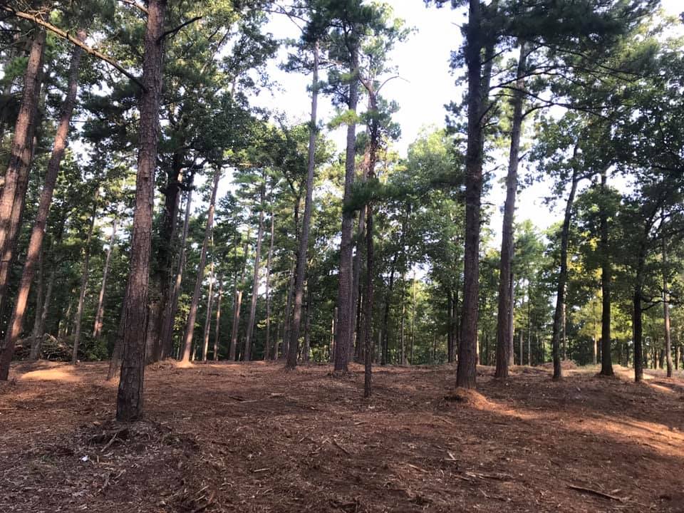 East Texas Land Clearing Pros Underbrush Clearing