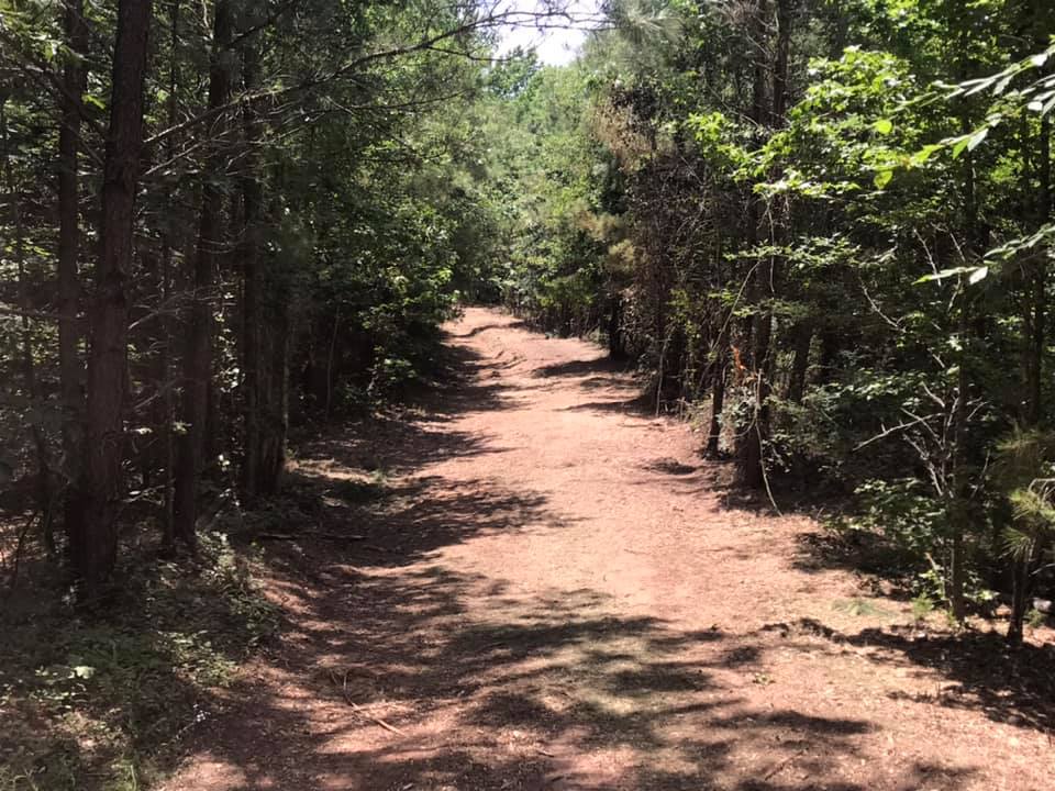 Land Clearing Near Me Longview, Texas, USA