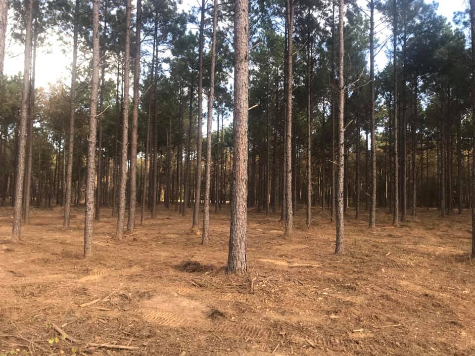 East Texas Land Clearing Pros Longview