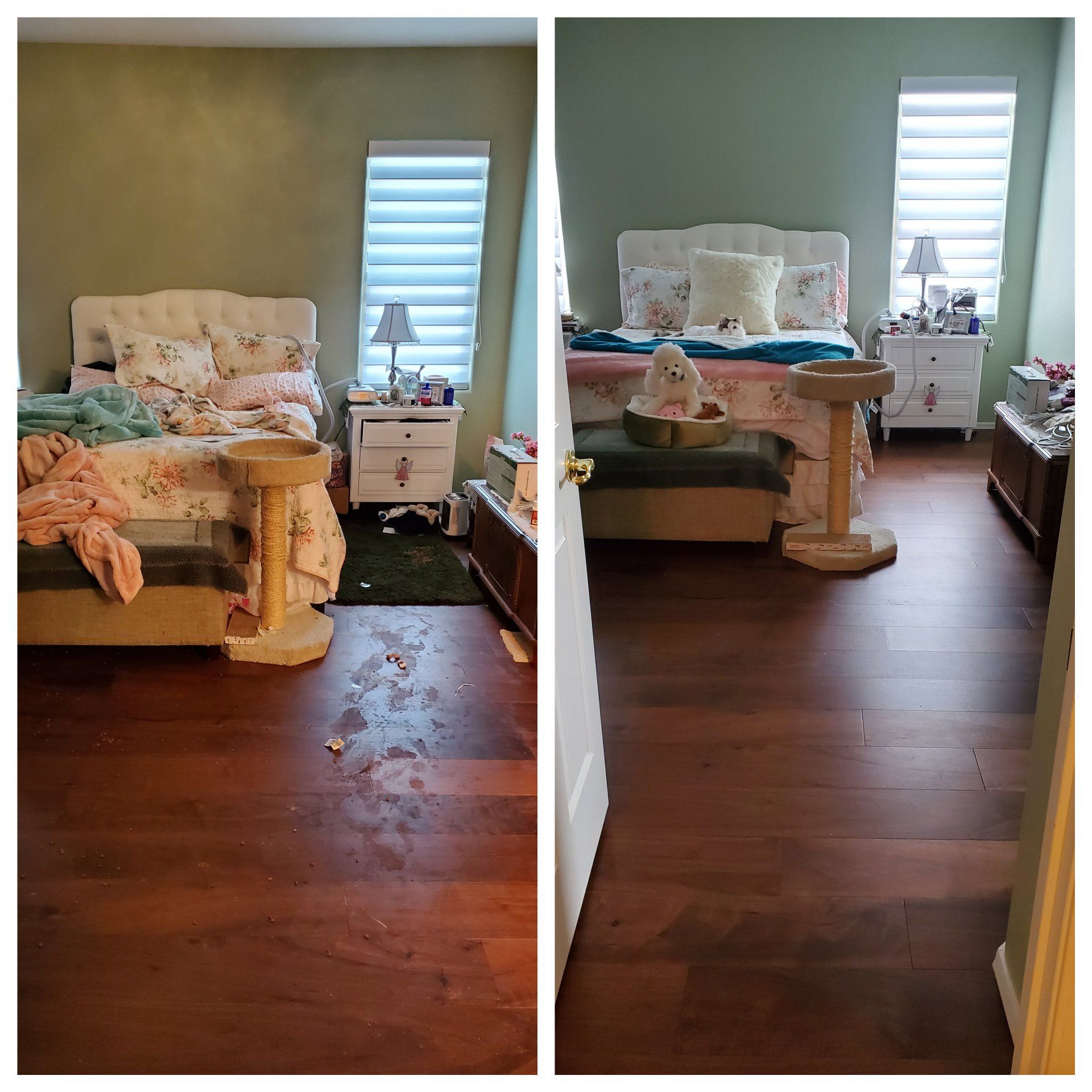 Elderly Home Cleaning and Preservation Chandler Arizona