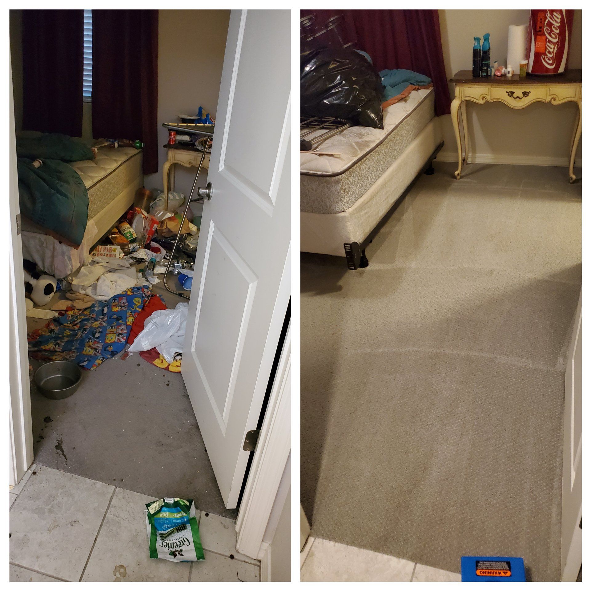 Deep Cleaning Carpet to Remove Bacteria Eloy Arizona