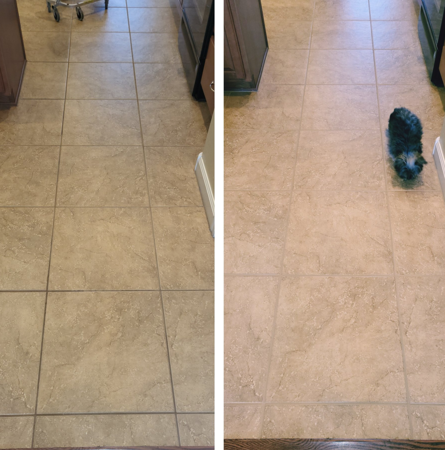Ceramic Tile and Grout Clean and Seal Eloy Arizona