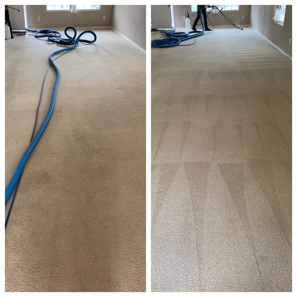 Carpets Cleaned and Protected Chandler Arizona