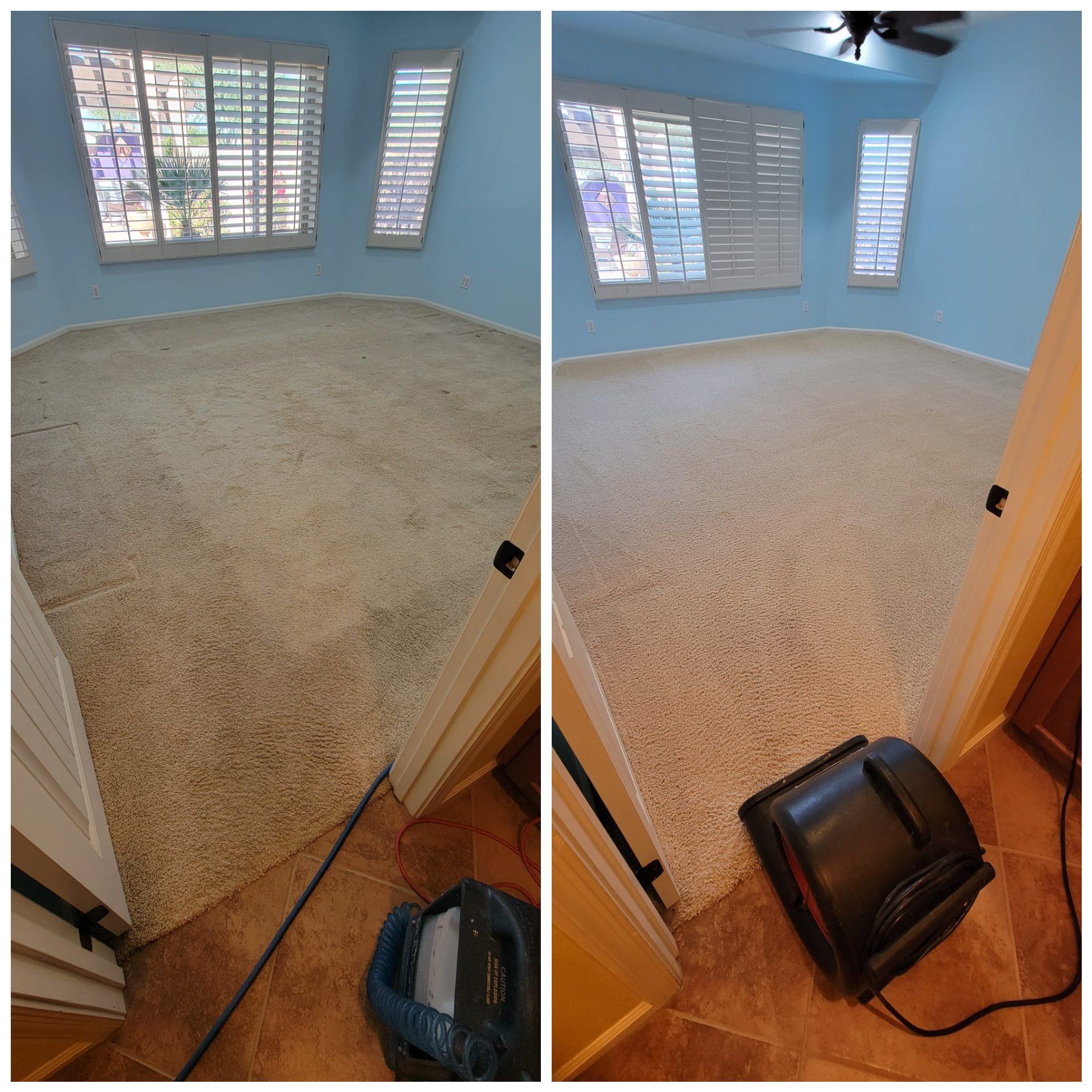 Carpet Cleaning and Dye Services Chandler Arizona