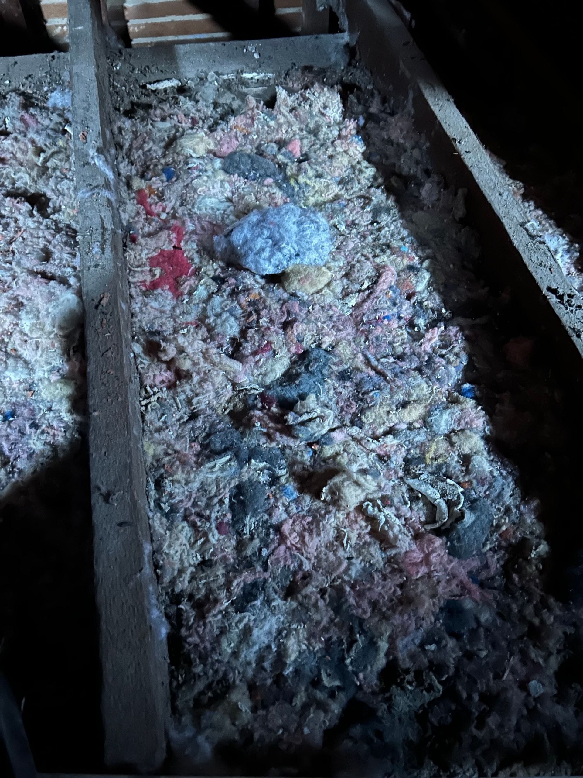 Gray and pink insulation in an attic space, with wooden beams and a pale blue object.