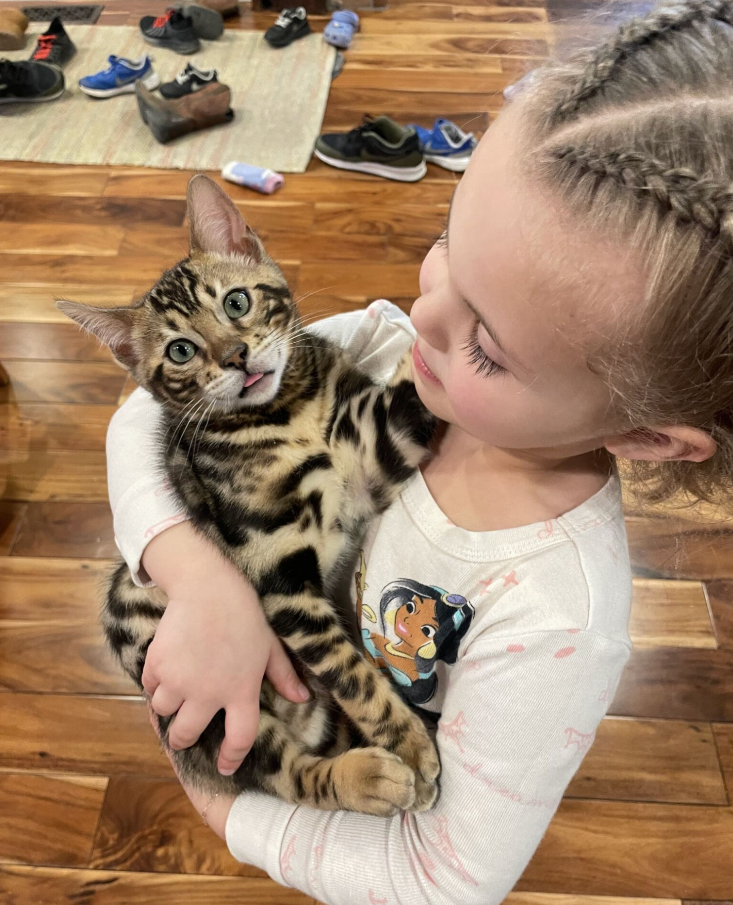 bengal female kittens for sale