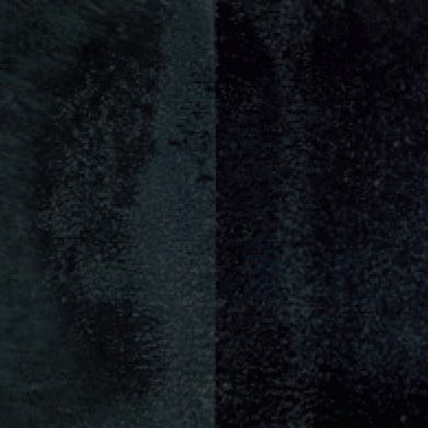 Color Spanish Dagger