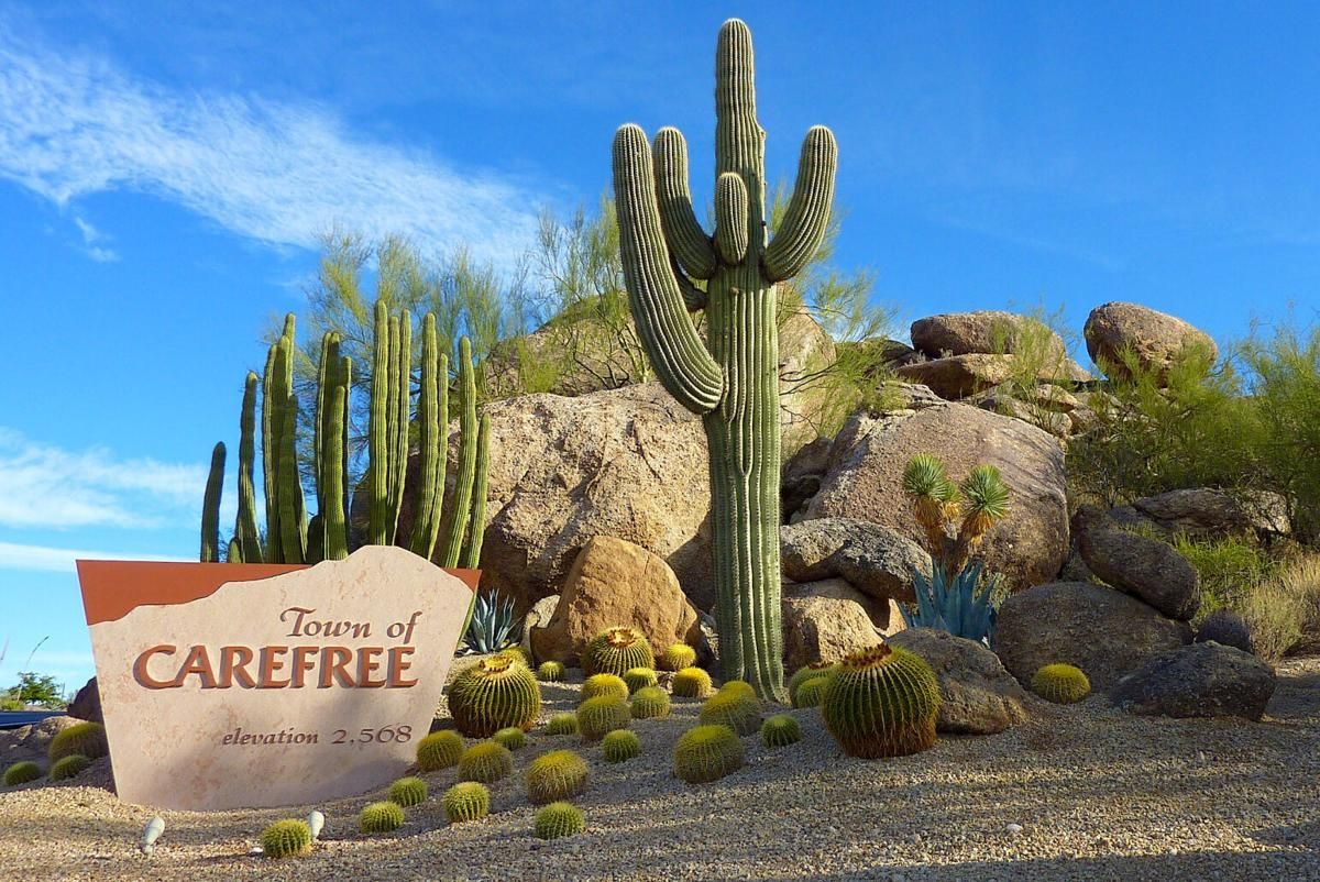 Town of Carefree sign with saguaro cactus and desert landscape.