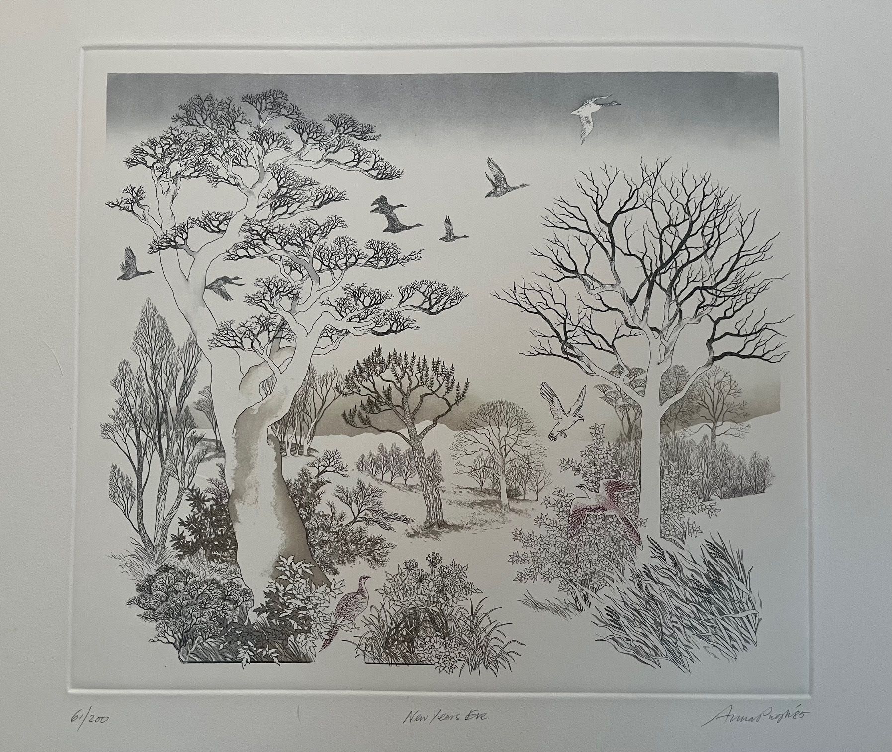Black and white etching of a landscape with trees and birds.