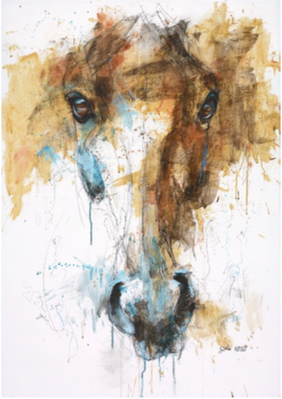 a close up of a painting of a horse 's face on a white background .