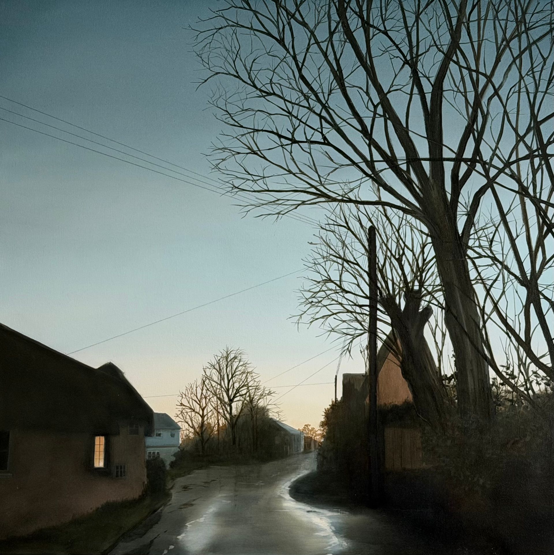 Rural street scene at dusk with wet road, bare trees, and houses.
