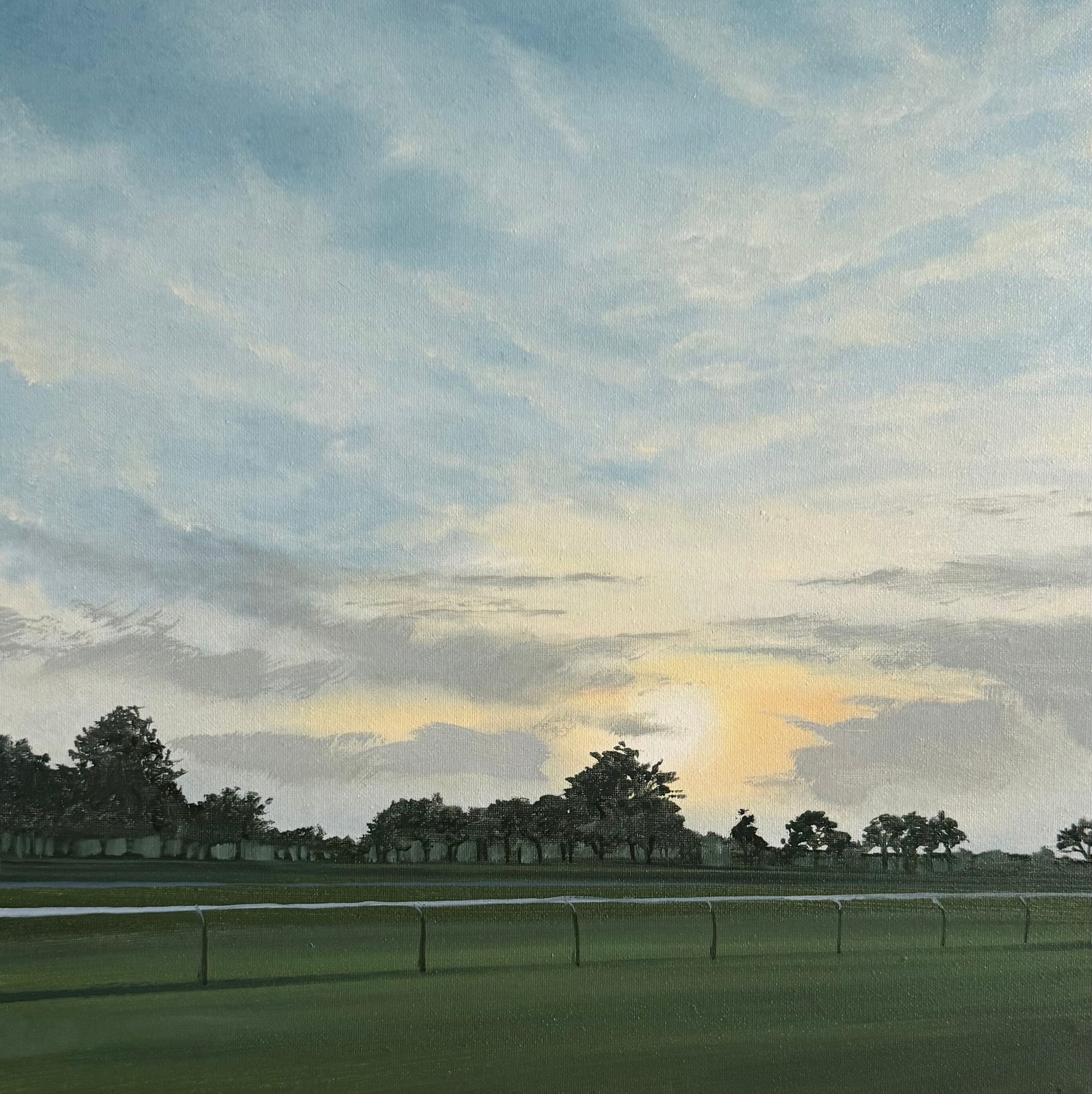 Green field with trees and a cloudy sky at sunset. A fence runs along the field.