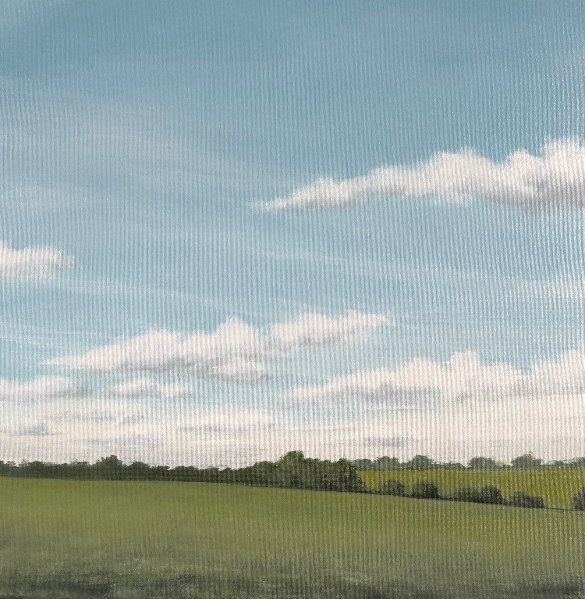 Green field, treeline, and blue sky with white clouds.