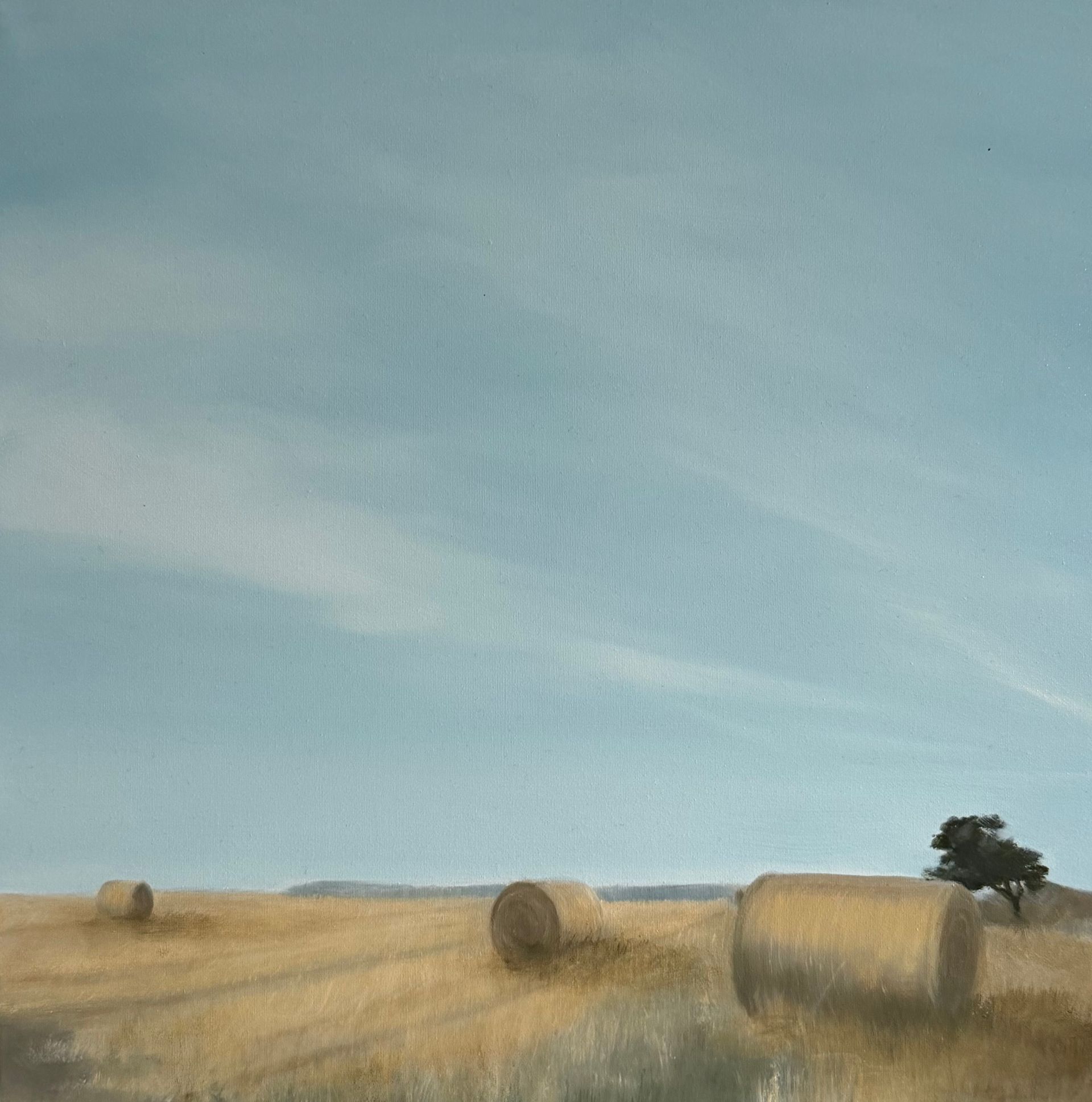 Field of hay bales under a bright blue sky, a lone tree on the horizon.