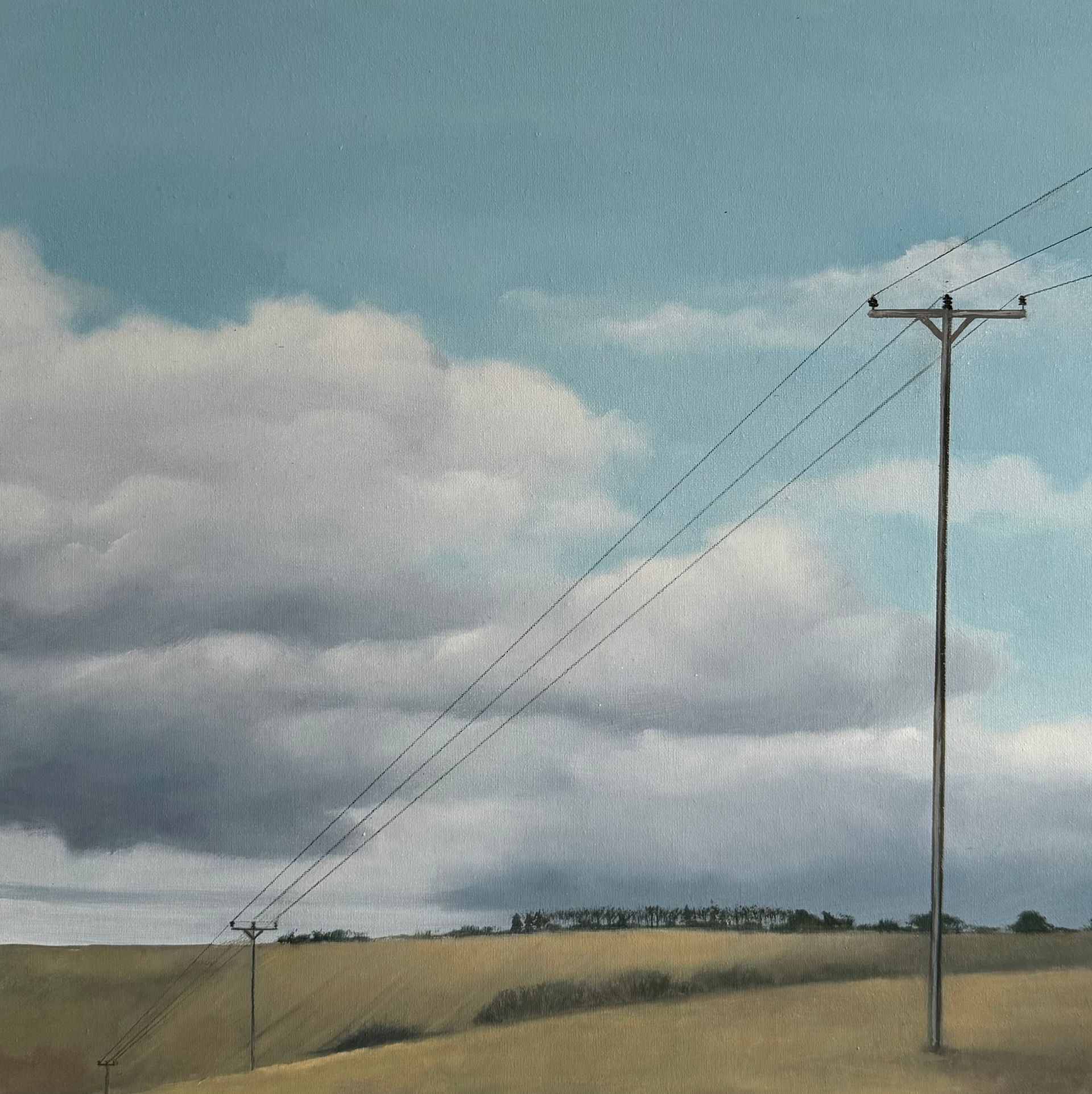 Field of yellow grass, utility poles, wires against cloudy blue sky.