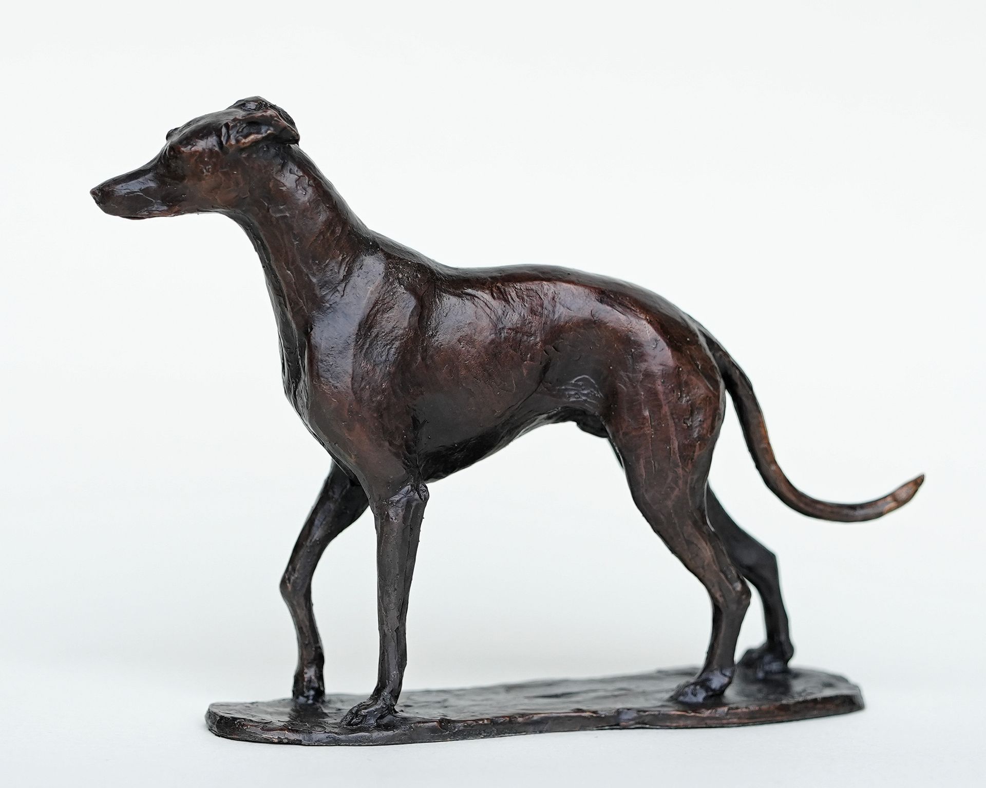 A statue of a greyhound is standing on a white surface.