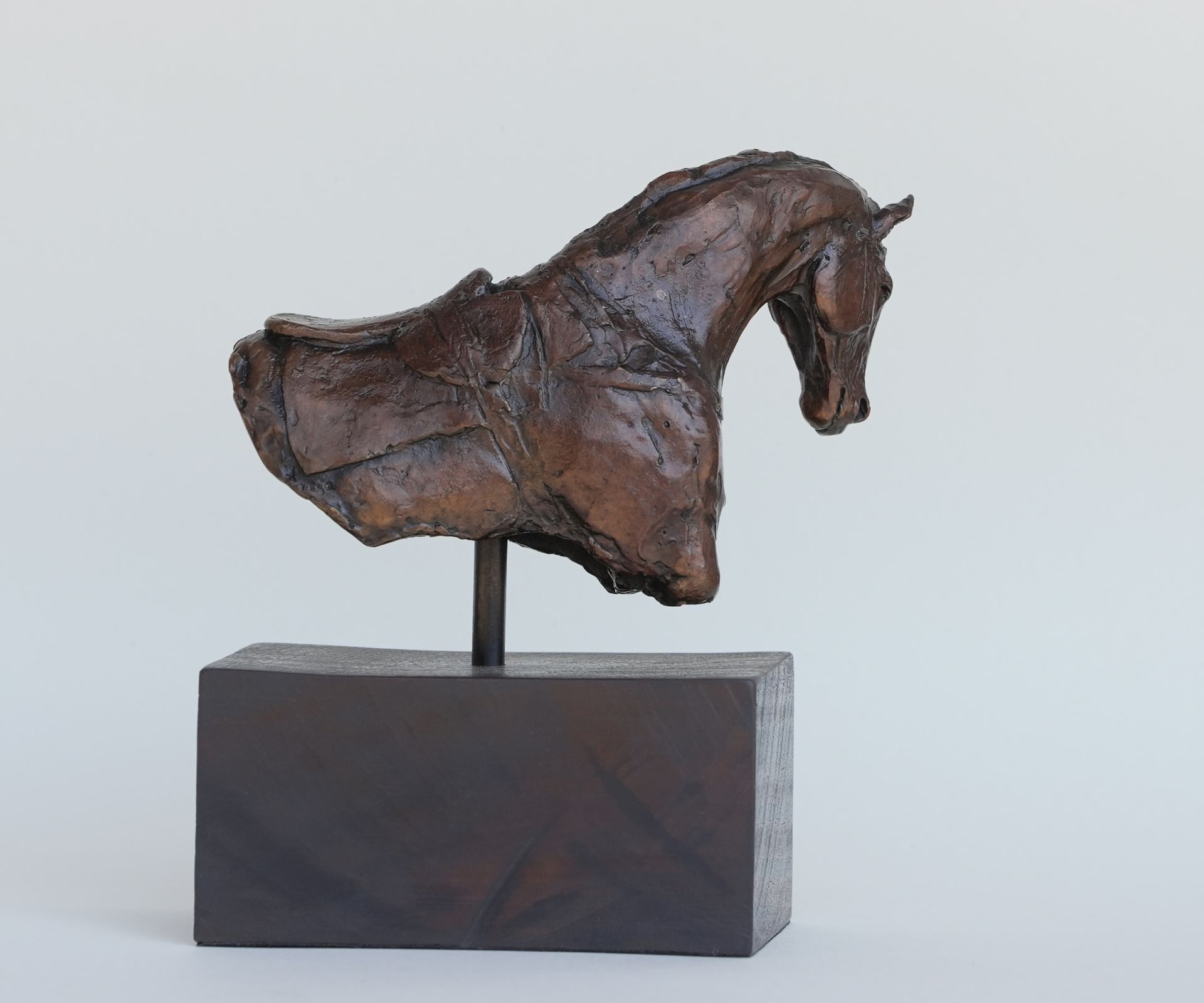 Bronze horse bust sculpture on a dark square base; head and shoulders only.
