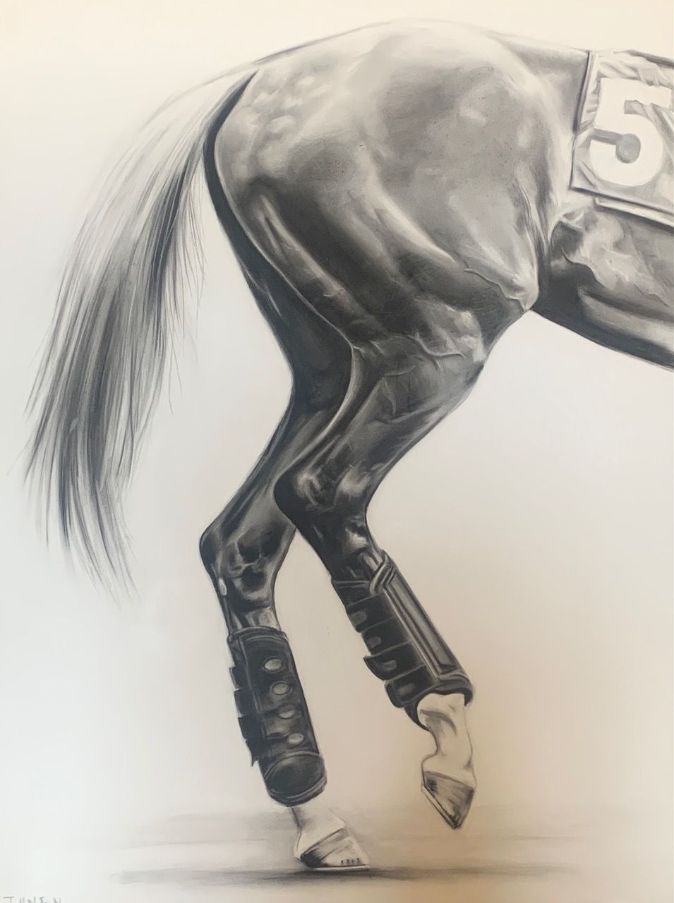 a black and white drawing of the hind quarters of a horse with the number 3 on the saddle