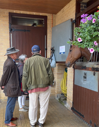 People looking at a horse in a stable doorway; flowers above.