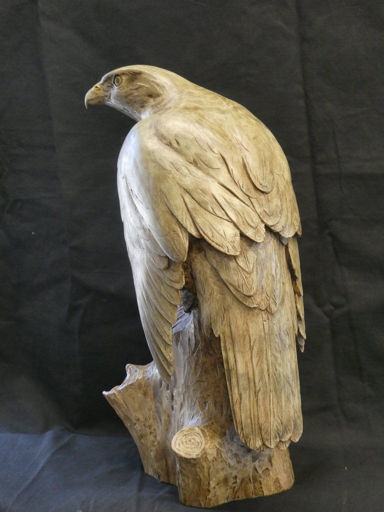 Close-up of a light-colored hawk's head and chest, gazing left. Yellow eye, beak, and black background.
