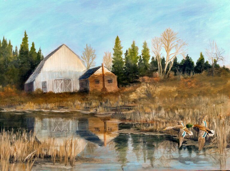 A barn and outbuilding reflect in a pond with two ducks landing. Tall grass frames the water, with trees in the background under a blue sky.