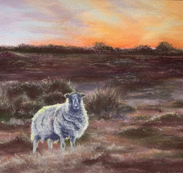 A sheep stands in a field, with a sunset in the background.