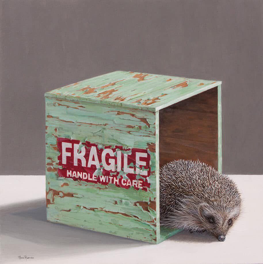 A hedgehog is sitting inside of a fragile box