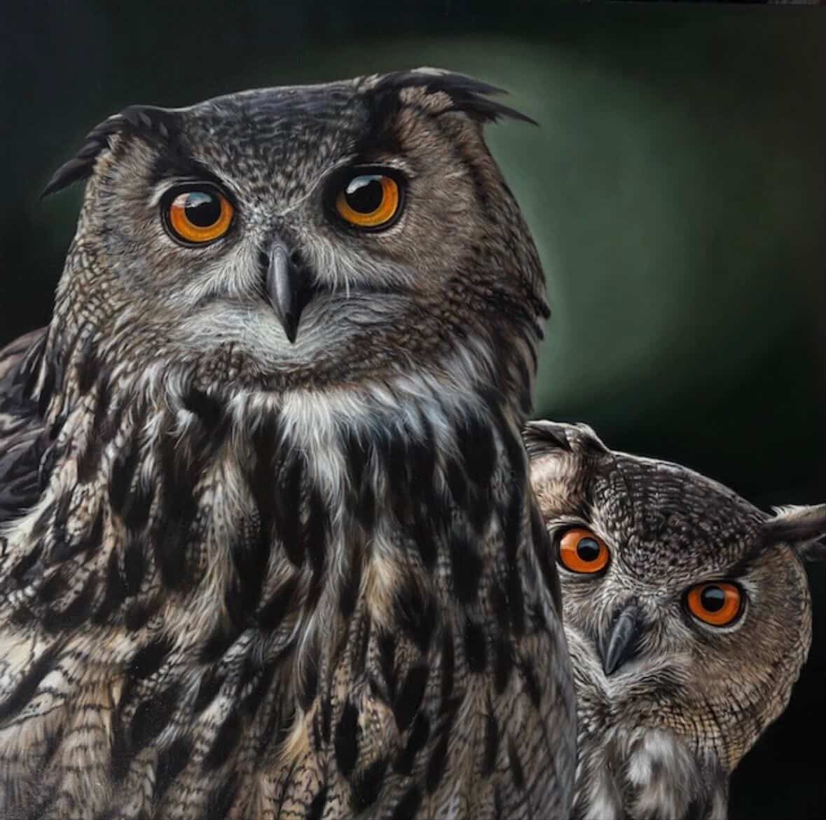Two owl faces peering forward, with bright orange eyes and gray-brown feathers.
