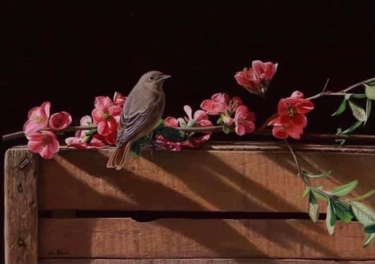 Bird perched on a wooden crate surrounded by pink flowers against a dark background.