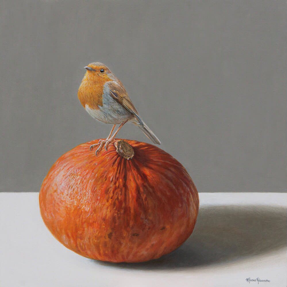 Robin perched on top of a bright orange pumpkin against a gray and white background.