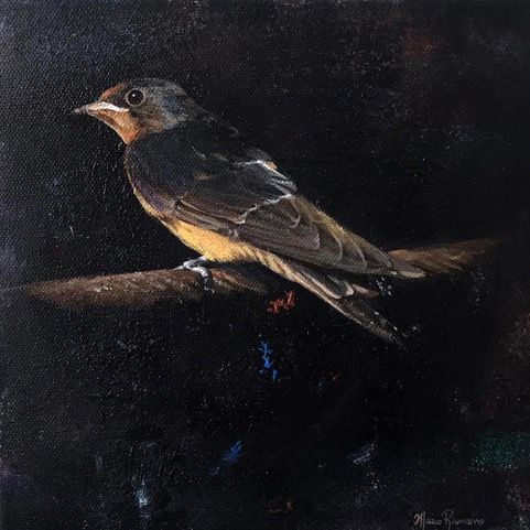 Bird perched on a branch against a dark background; black, brown, and yellow feathers.