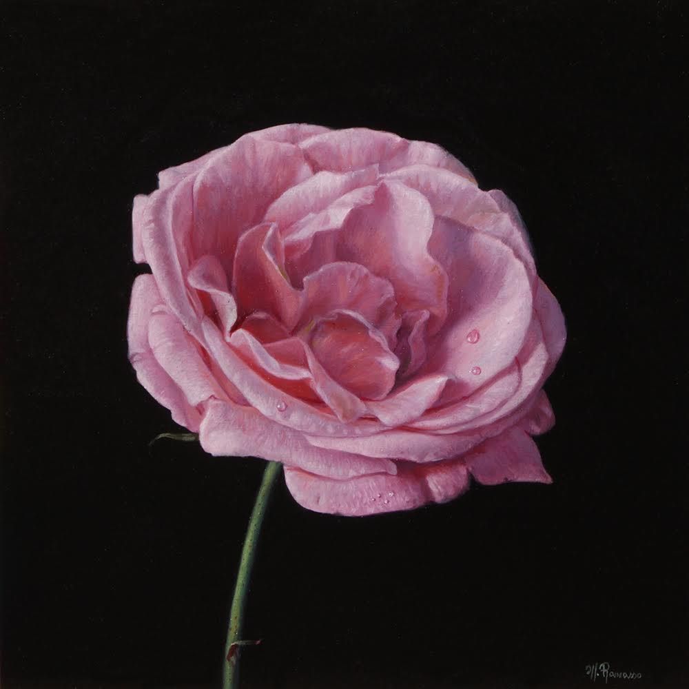 A painting of a pink rose on a black background
