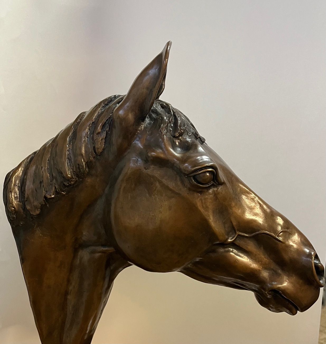 Bronze horse head sculpture on a black pedestal, facing forward.
