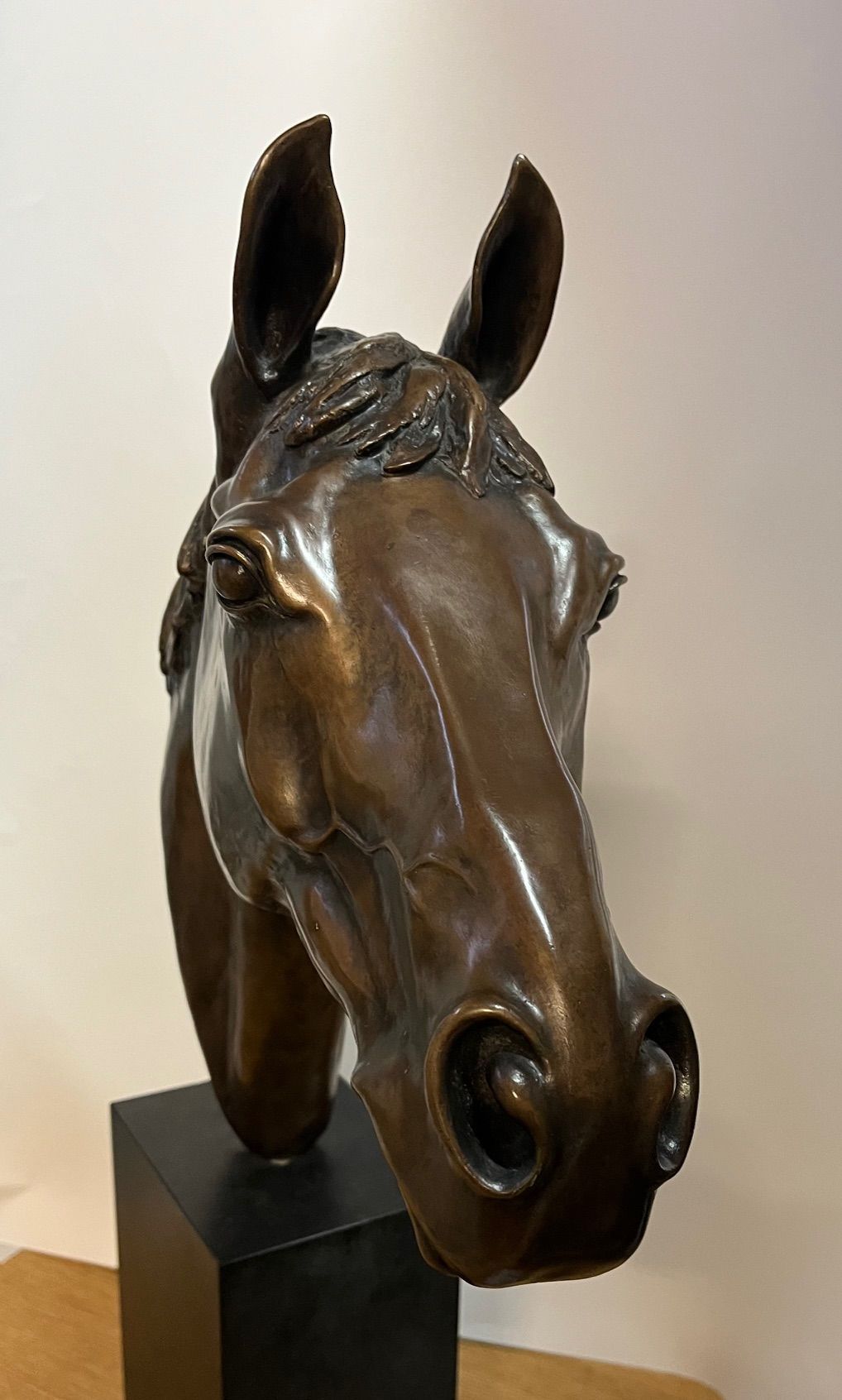 Bronze horse head sculpture on a black pedestal; detailed facial features with open eyes.