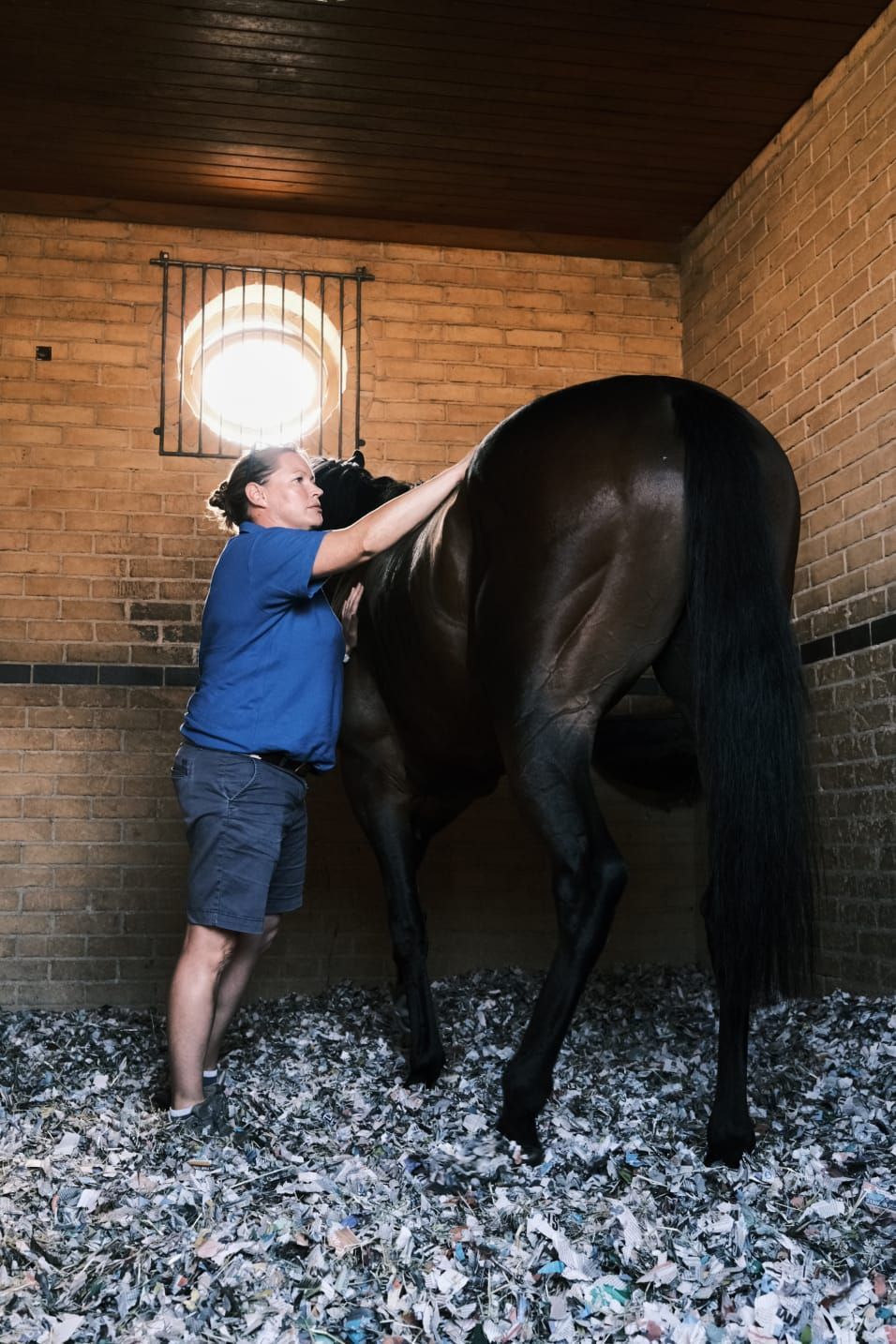 A woman is standing next to a horse in a stable.