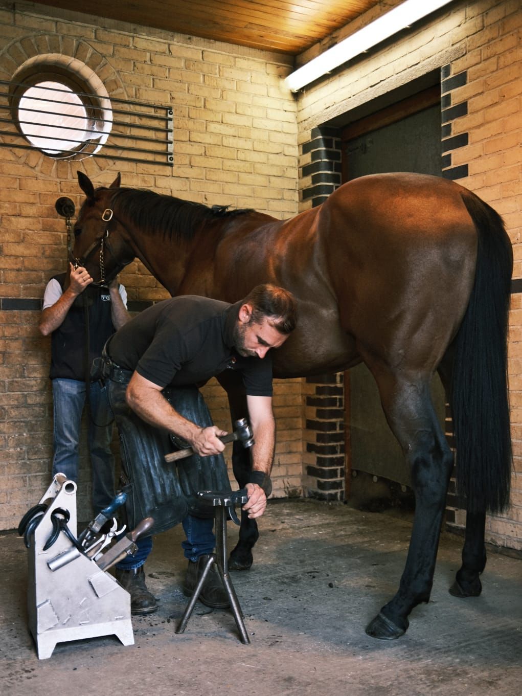 A man is shoeing a horse in a stable.