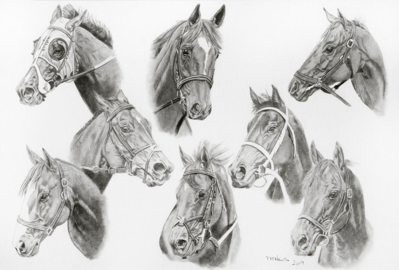Pencil drawing of eight horse heads, each with different bridles and expressions.