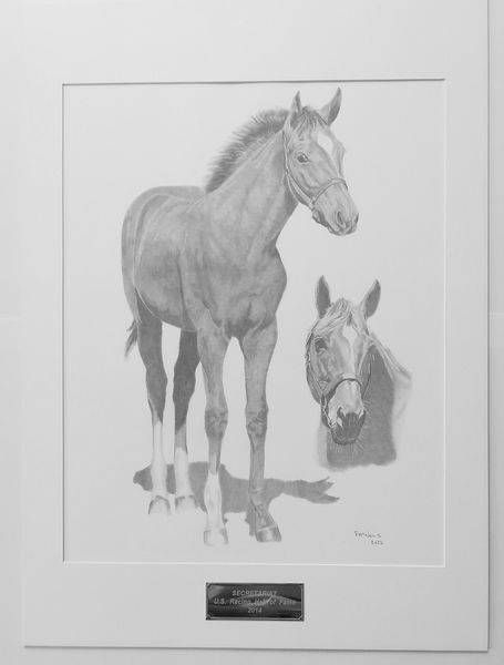 Pencil drawing of a young horse, standing with a secondary head shot below. Brown coat, white markings.
