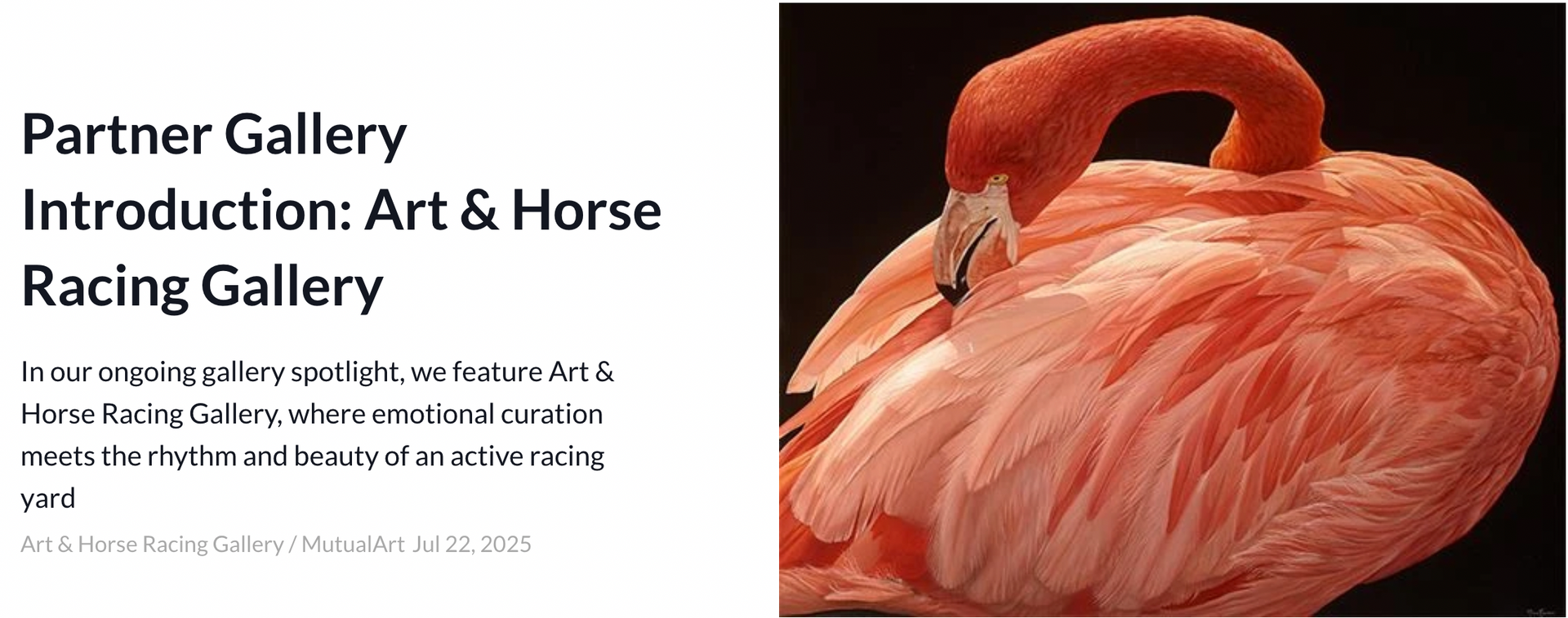 A pink flamingo is sitting on a black background in a racing gallery.