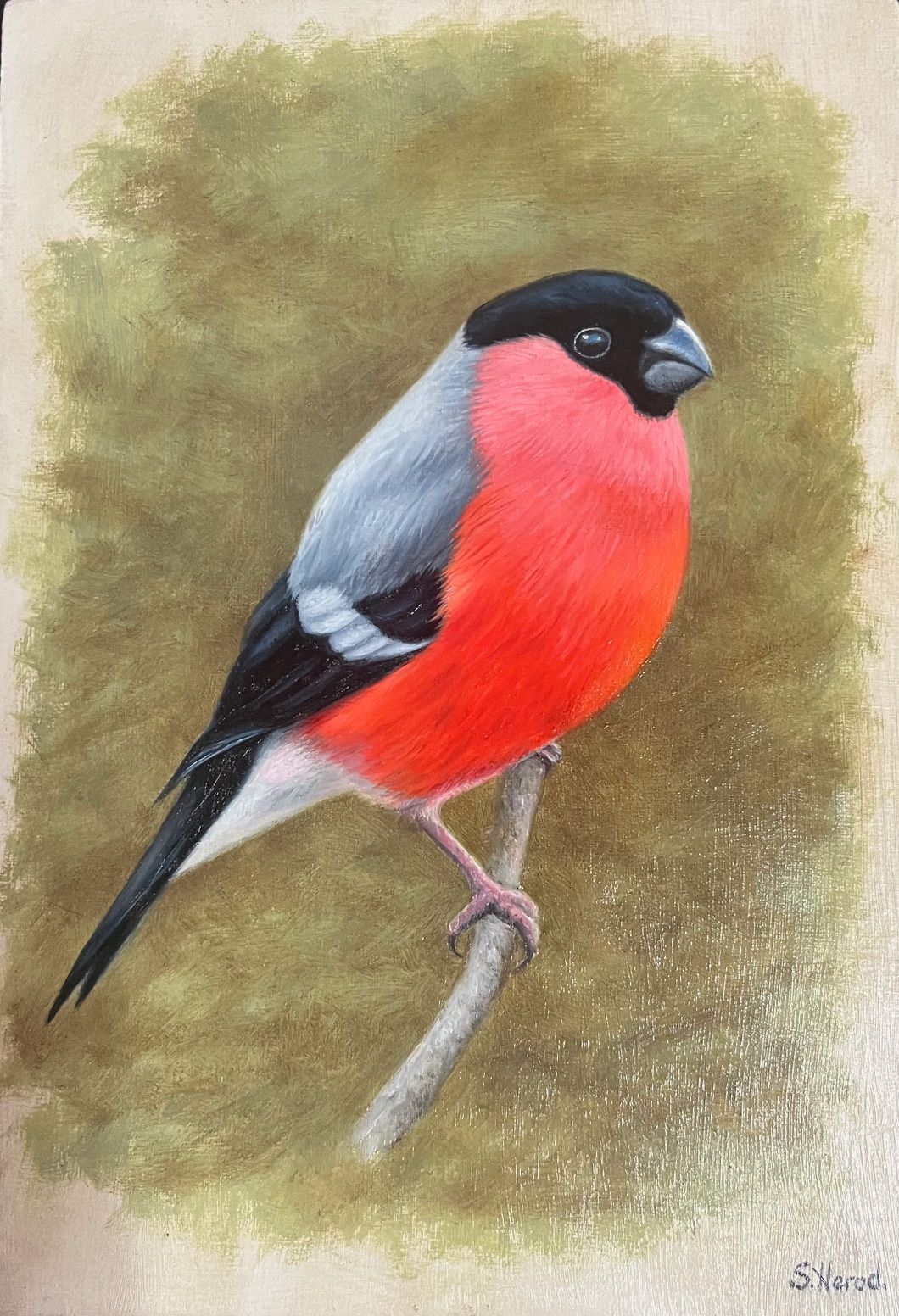 A painting of a red and black bird perched on a branch.