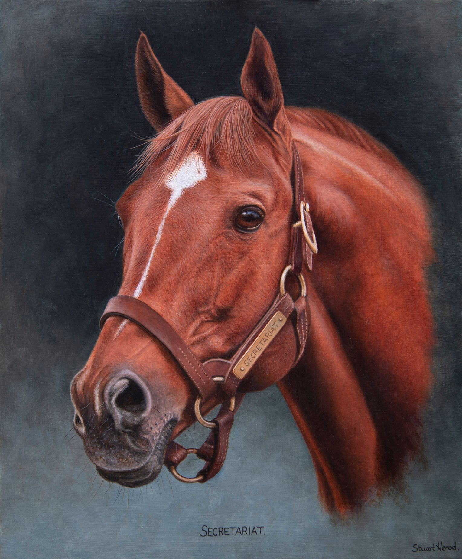 A painting of a chestnut horse with the name secretariat on it