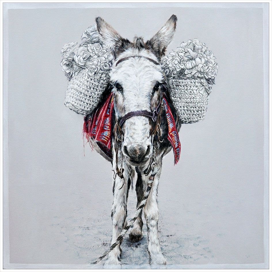 Donkey with white coat, carrying woven baskets. Red fabric hangs from its harness. Gray background.