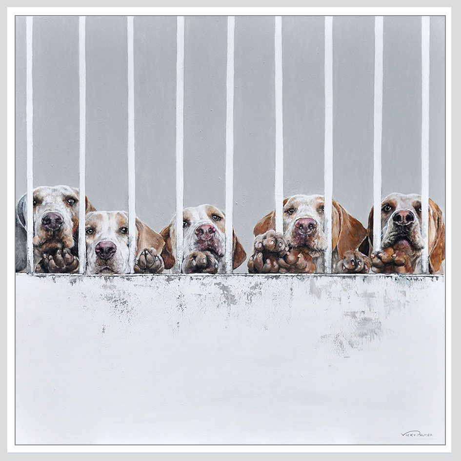 Six dogs peeking through vertical white bars, grey background, white foreground