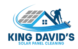 King David's Logo