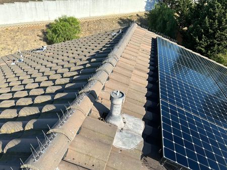 A row of solar panels against a blue sky