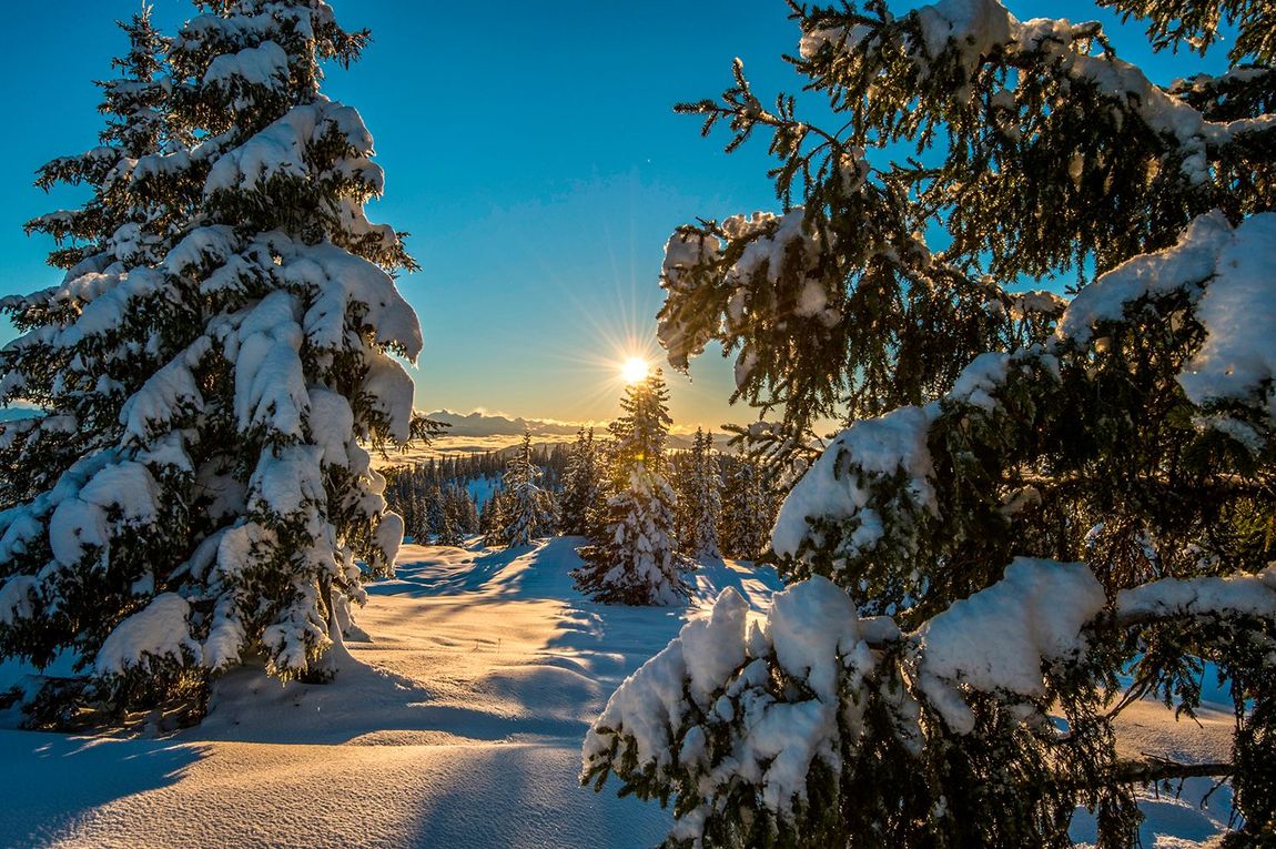 Winter Landschaft