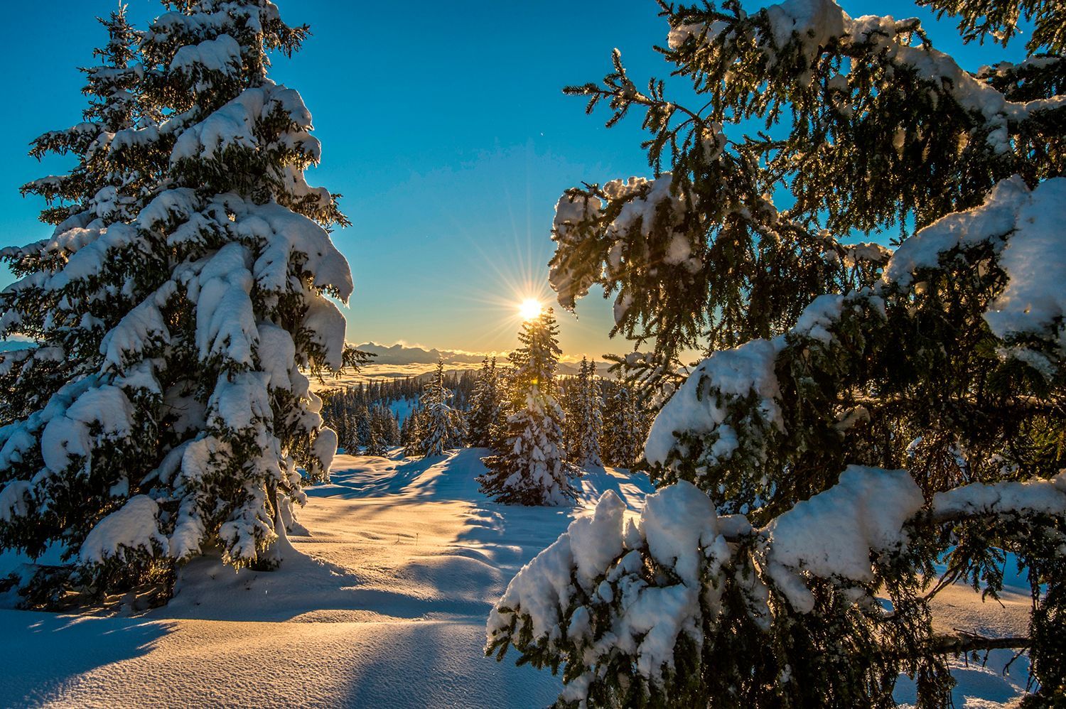 Winter