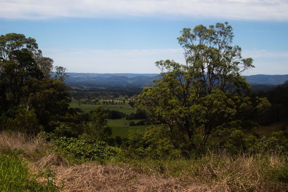 A View of a Lush Green Field With Trees in the Foreground — Beards Roofing and Plumbing in Sunshine Coast, QLD