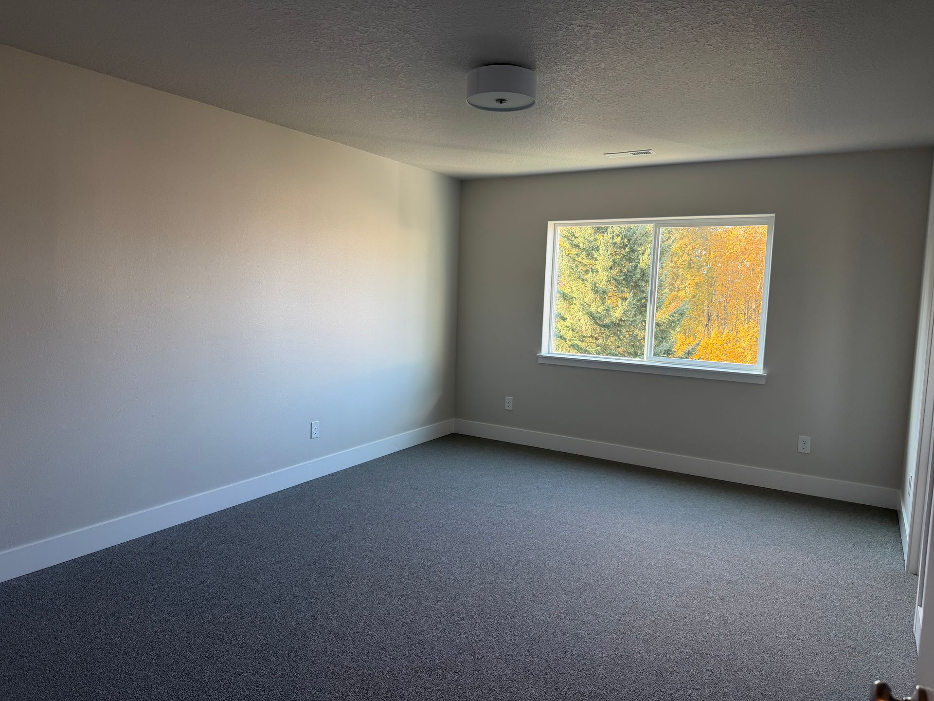 Empty room with gray walls, carpet, window, and ceiling light.